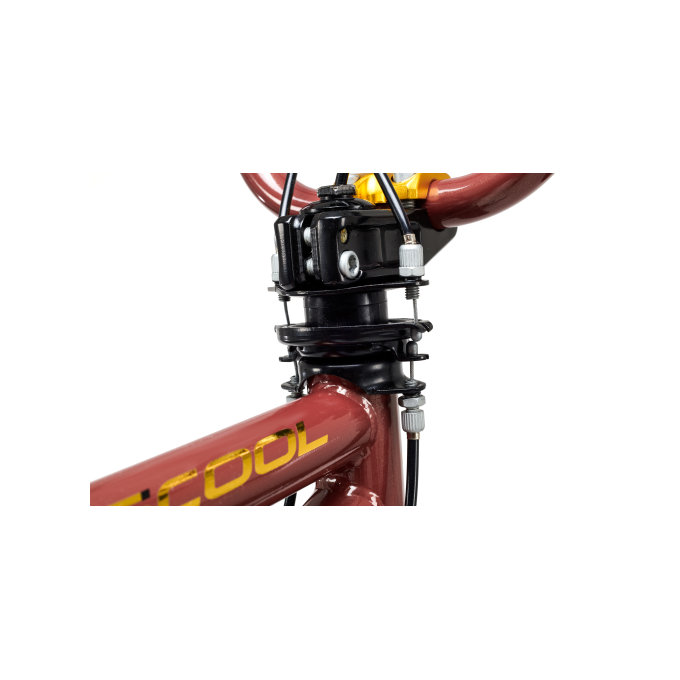 Gyermek kerékpár XtriX 20 barna/arany (120 cm-től)