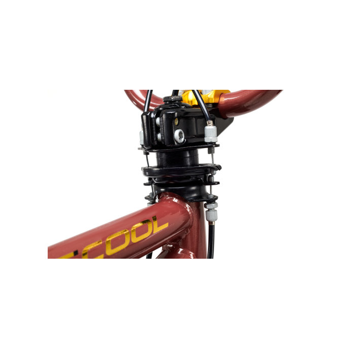 Gyermek kerékpár XtriX 20 barna/arany (120 cm-től)