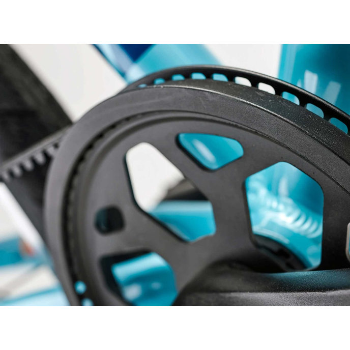 Grade 4 Belt - 20" (115 cm-től)