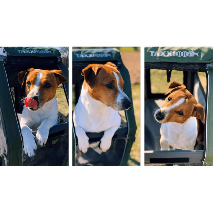 TaXXI Kutyakocsi M sötétszürke/sötétzöld