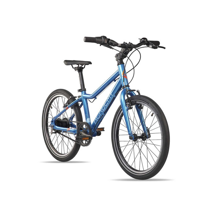 Grade 4 Belt - 20" (115 cm-től)