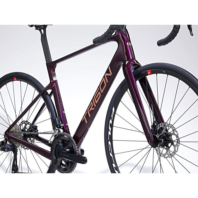 RC2 Burgundy-Dreamer