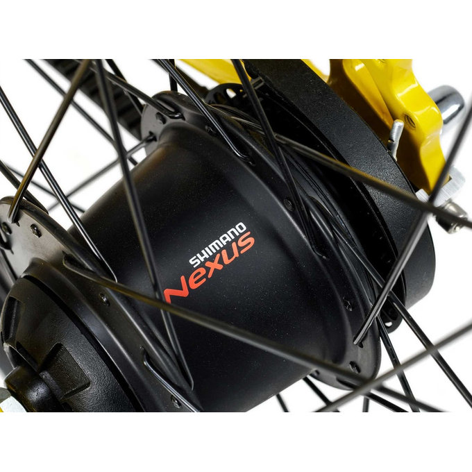 Grade 5 Belt - 24" (130 cm-től)