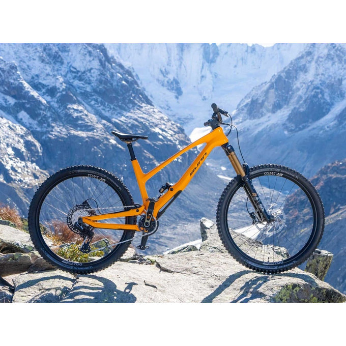 Mountain bike RADICAL FACTORY 