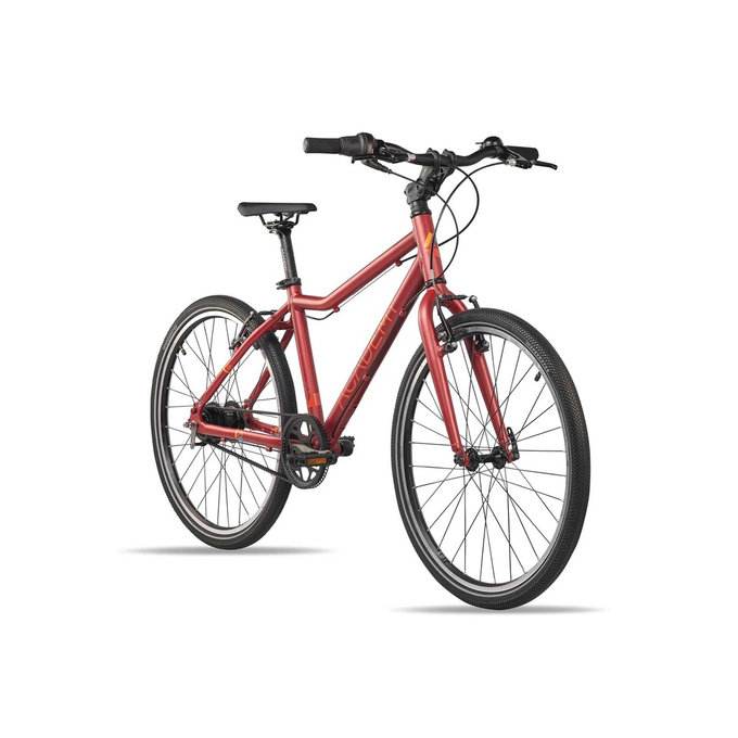 Grade 5 Belt - 24" (130 cm-től)