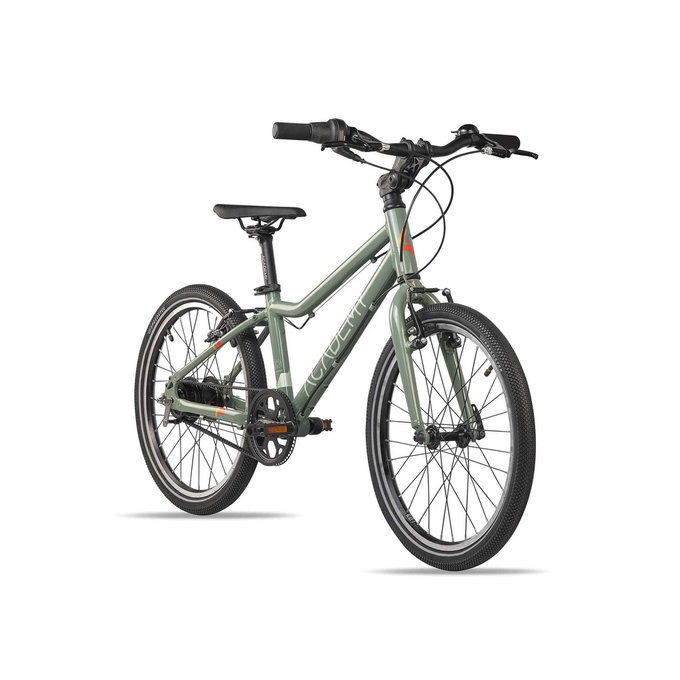 Grade 4 Belt - 20" (115 cm-től)